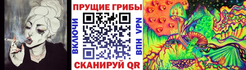 Псилоцибиновые грибы Psilocybine cubensis как найти закладки Кировград
